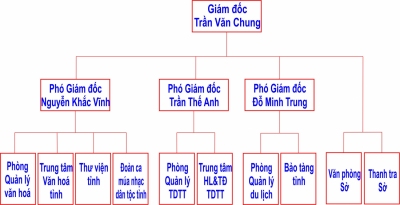 Organizational chart of the apparatus
