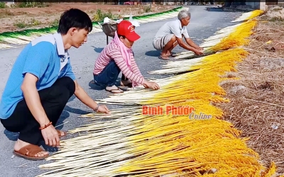 Hoa khô nghệ thuật vào tết