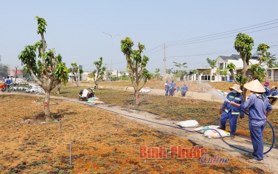 Bộ sưu tập độc nhất ở Đồng Xoài