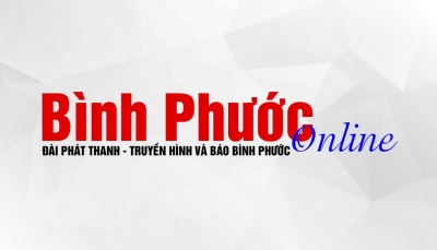 “Canh tân đất nước” - tấm áo mĩ miều của Việt Tân